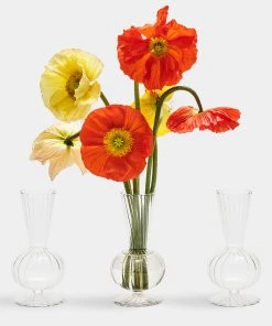 Kim Seybert, Inc. Tess Bud Vase In Clear, Set Of 3 In A Box