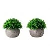 Kim Seybert Home Decor Topiary Jardin, Set Of 2 In A Box
