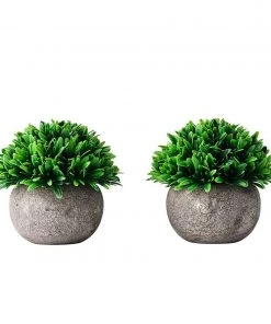Kim Seybert Home Decor Topiary Jardin, Set Of 2 In A Box