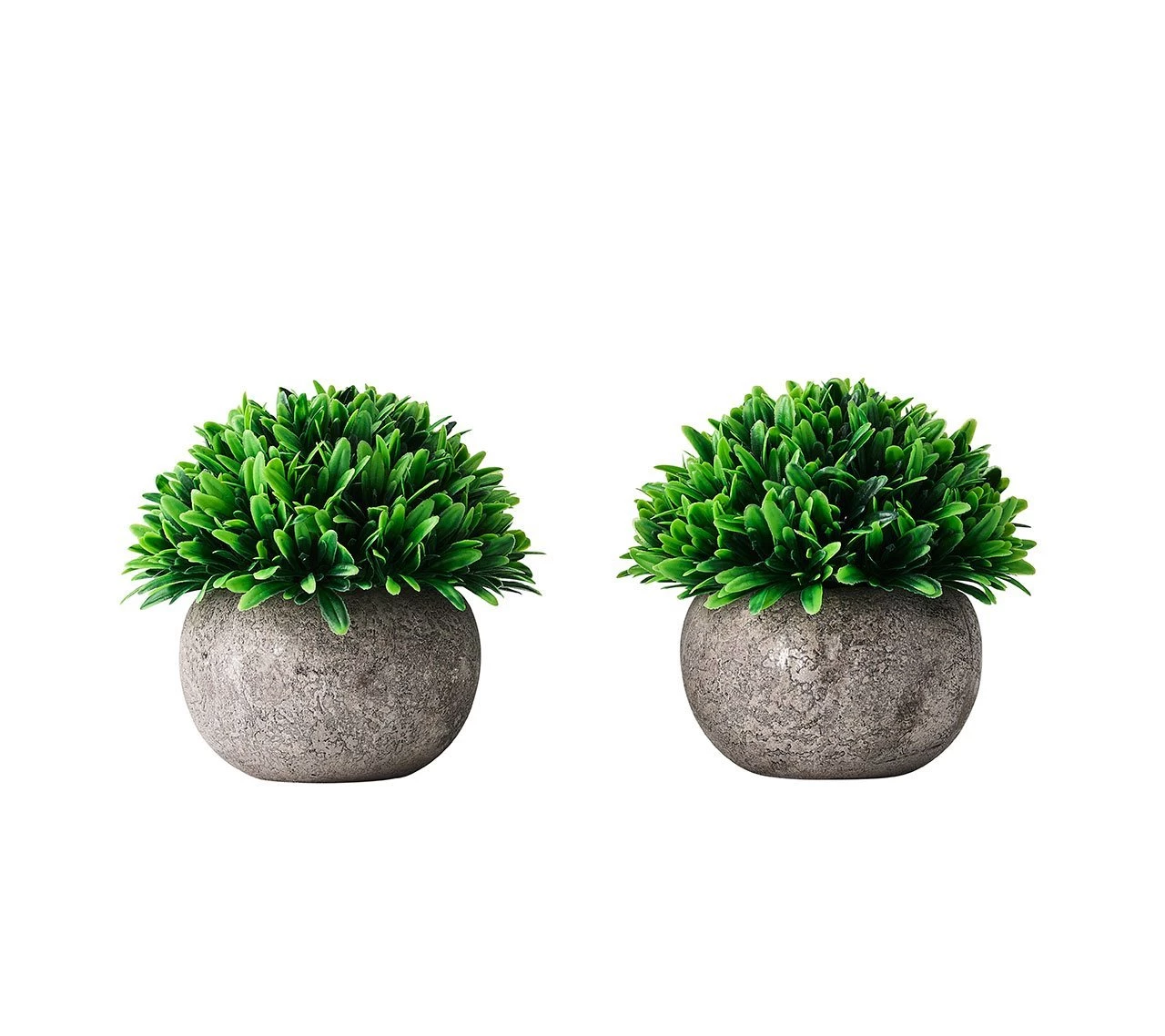 Kim Seybert Home Decor Topiary Jardin, Set Of 2 In A Box