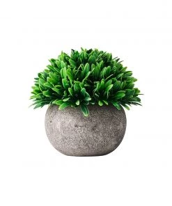 Kim Seybert Home Decor Topiary Jardin, Set Of 2 In A Box
