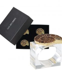 Kim Seybert Swirl Napkin Rings In Brown, Set Of 4 In Gift Box