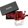 Kim Seybert Amalfi Napkin Ring In Coral, Set Of 4 In A Gift Box Napkin Rings