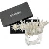 Kim Seybert Amalfi Napkin Ring In White, Set Of 4 In A Gift Box