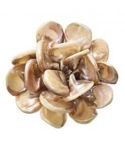 Kim Seybert Napkin Rings Tahiti Napkin Ring In Natural, Set Of 4