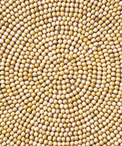 Kim Seybert Wood Round Placemat In Natural, Set Of 4 Placemats