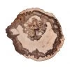 Kim Seybert Placemats Petrified Wood Placemat In Natural & Brown, Set Of 4