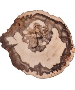 Kim Seybert Placemats Petrified Wood Placemat In Natural & Brown, Set Of 4