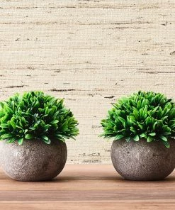 Kim Seybert Home Decor Topiary Jardin, Set Of 2 In A Box