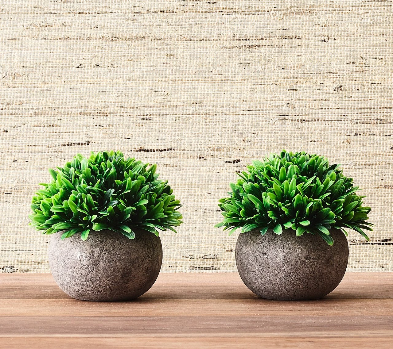 Kim Seybert Home Decor Topiary Jardin, Set Of 2 In A Box