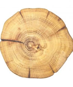 Kim Seybert Woodland Placemat In Natural & Brown, Set Of 4